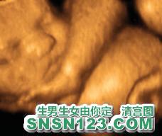 怀孕236天宝宝发育图