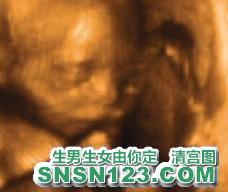 怀孕162天宝宝发育图
