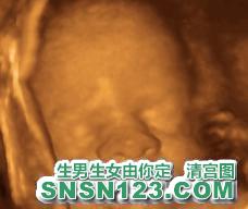 怀孕214天宝宝发育图