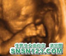 怀孕167天宝宝发育图
