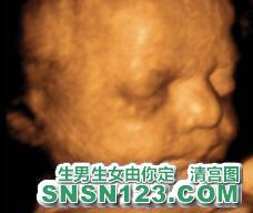 怀孕234天宝宝发育图