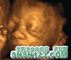 怀孕201天宝宝发育图