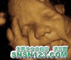 怀孕271天宝宝发育图
